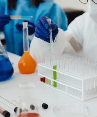 Lab WebP (1)
